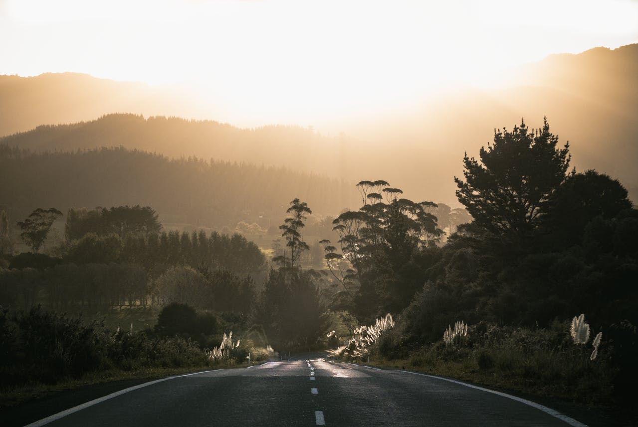 New Zealand Landscape 