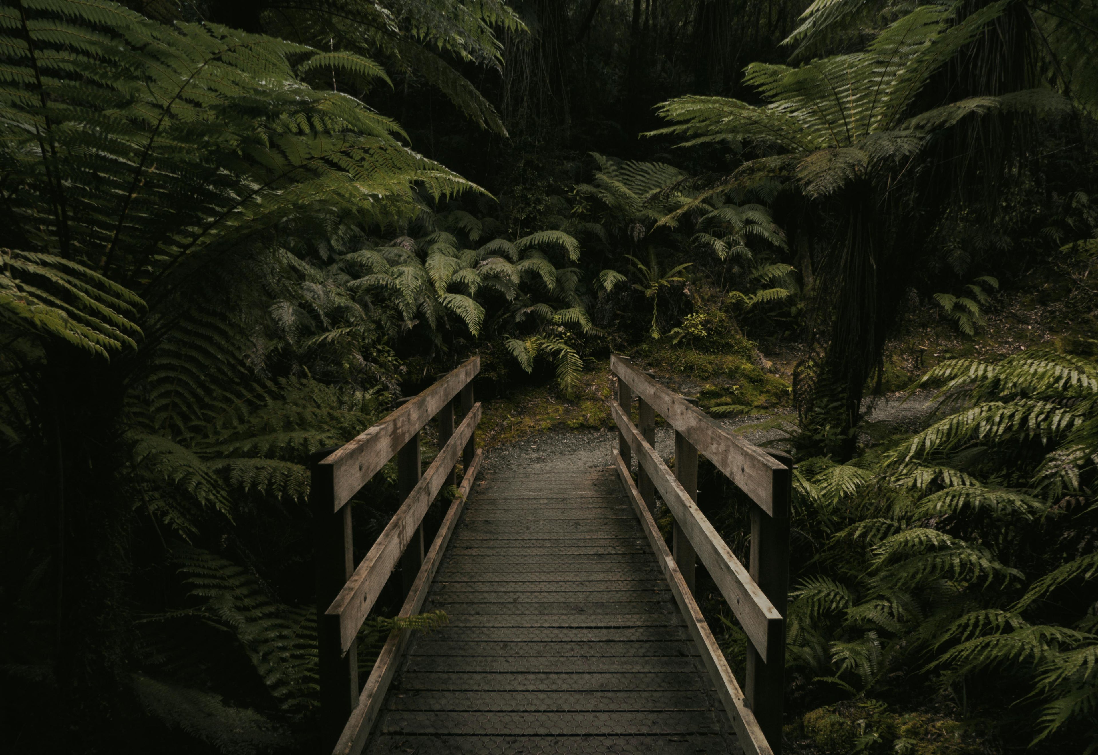New Zealand Forest All Natural Ingredients